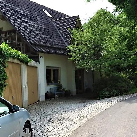 Ferienwohnung Ringbergblick Зуль Екстер'єр фото