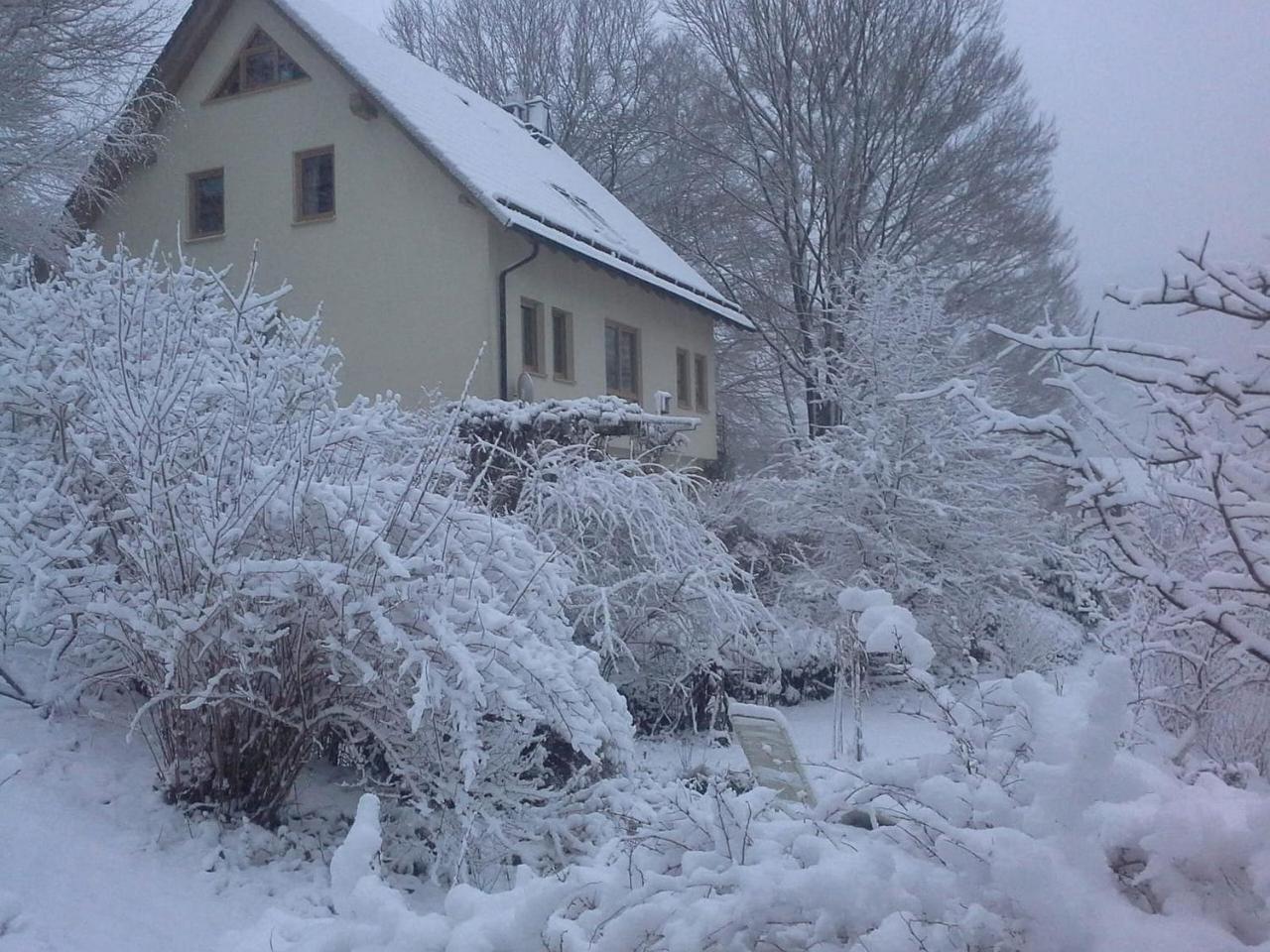 Ferienwohnung Ringbergblick Зуль Екстер'єр фото